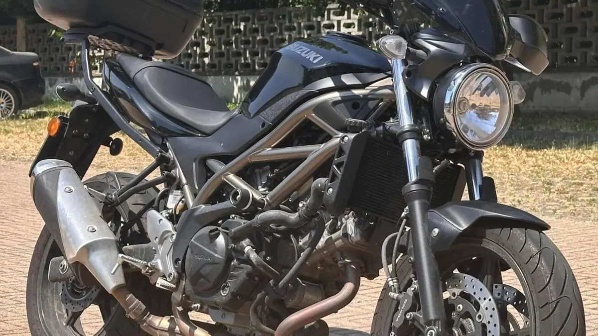 Suzuki SV650 (2021 - 24) 