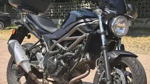 Suzuki SV650 (2021 - 24) 