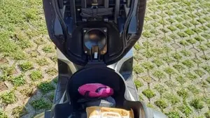Yamaha X-Max 250 (2007 - 09)  (5)