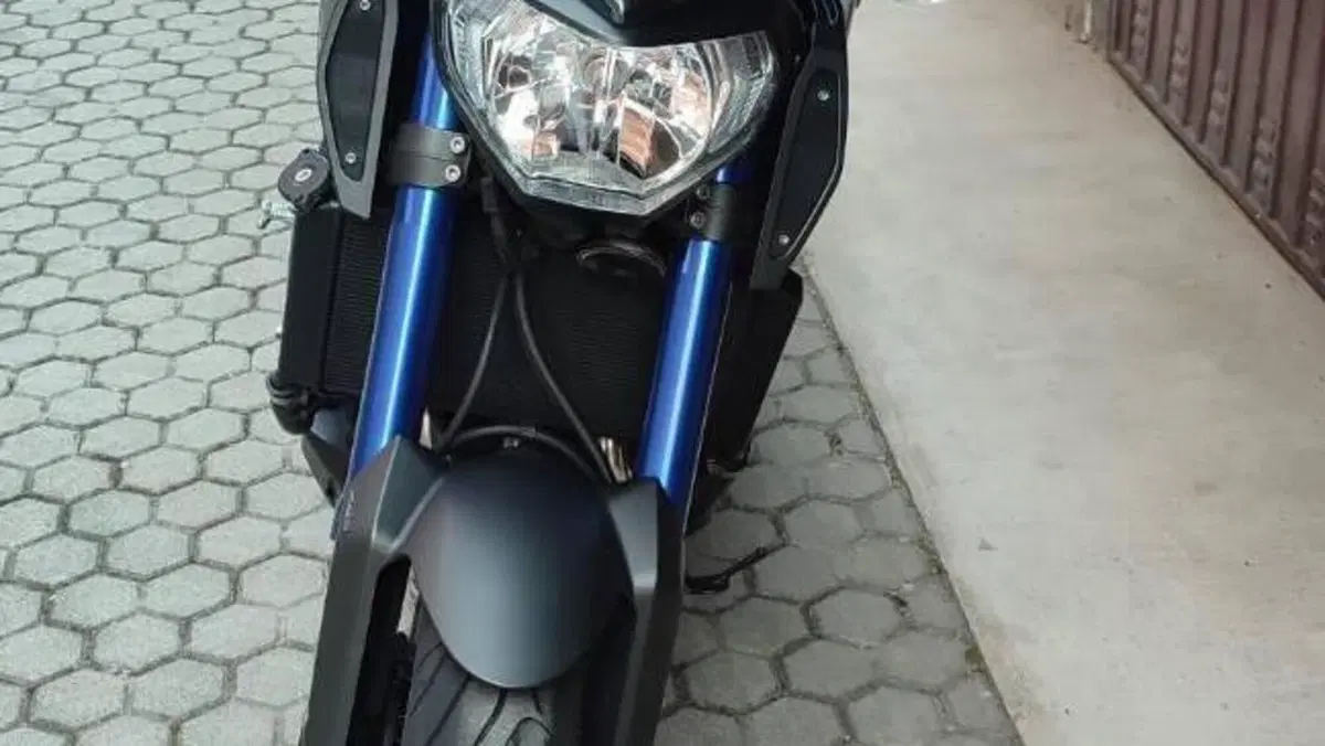 Yamaha MT-09 ABS (2016)  (4)