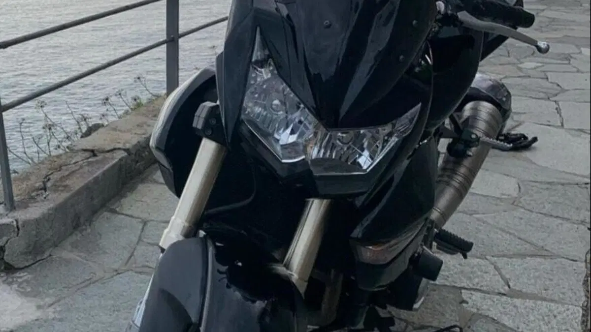 Kawasaki Z 1000 (2007 - 09)  (4)