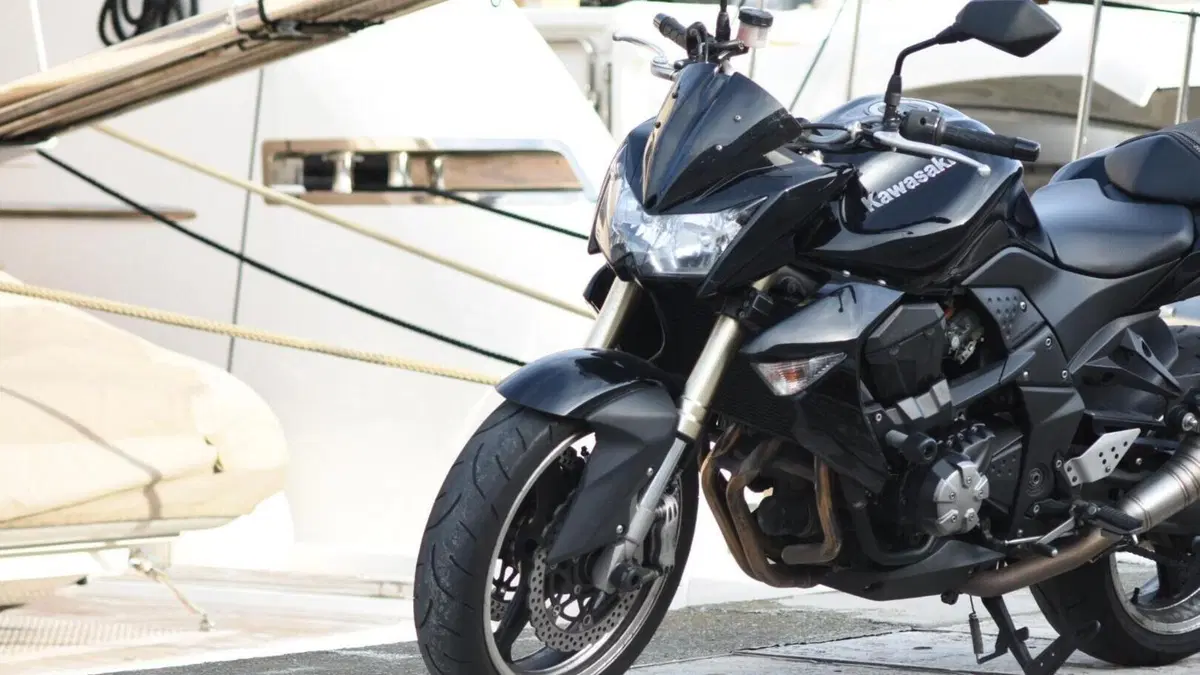 Kawasaki Z 1000 (2007 - 09)  (11)