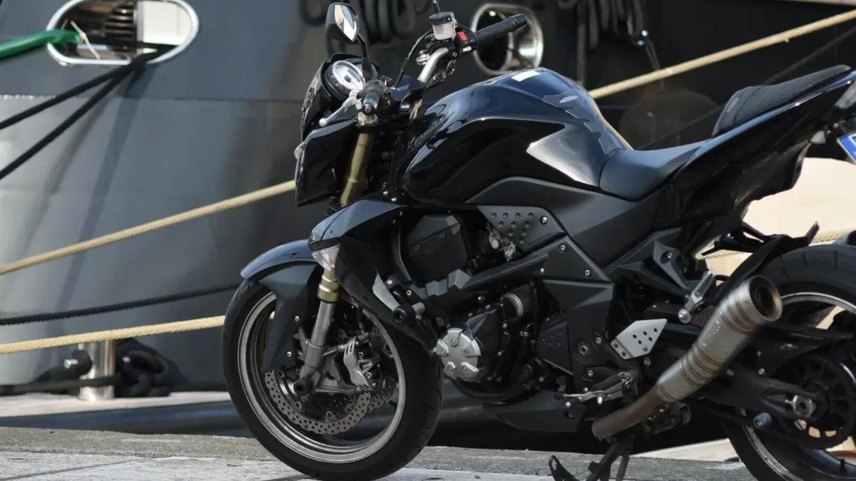 Kawasaki Z 1000 (2007 - 09)  (12)