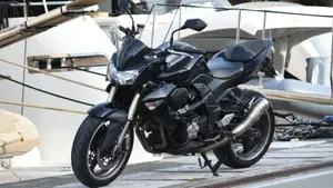 Kawasaki Z 1000 (2007 - 09)  (13)