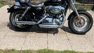 Harley-Davidson 1200 Custom (2007 - 13) - XL 1200C  (2)