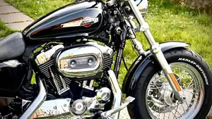 Harley-Davidson 1200 Custom (2007 - 13) - XL 1200C  (5)