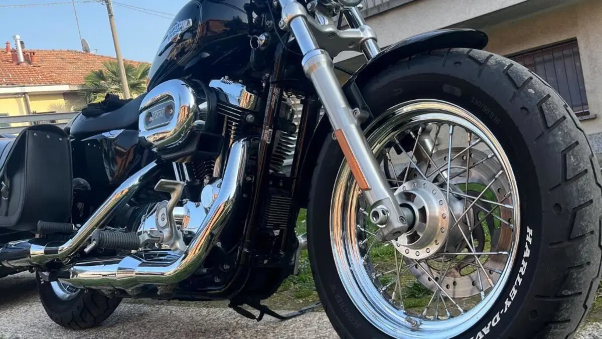 Harley-Davidson 1200 Custom (2007 - 13) - XL 1200C  (6)