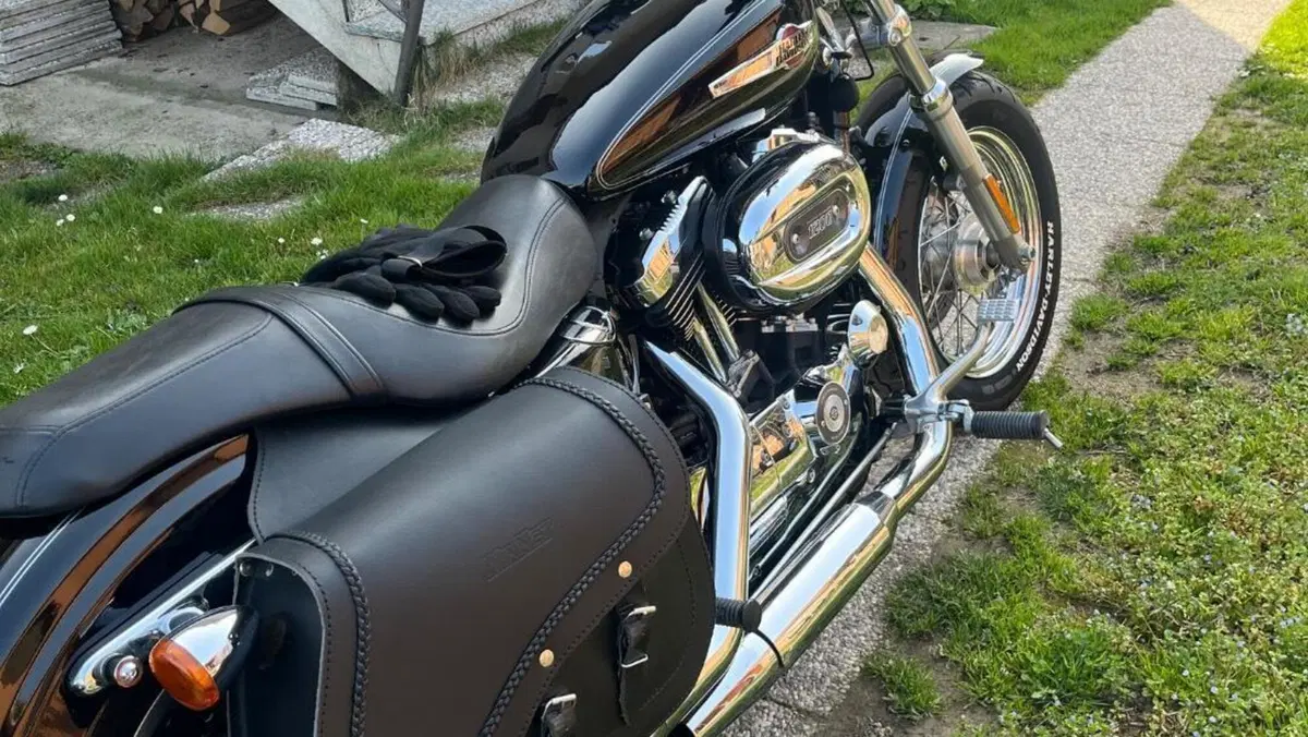 Harley-Davidson 1200 Custom (2007 - 13) - XL 1200C  (7)