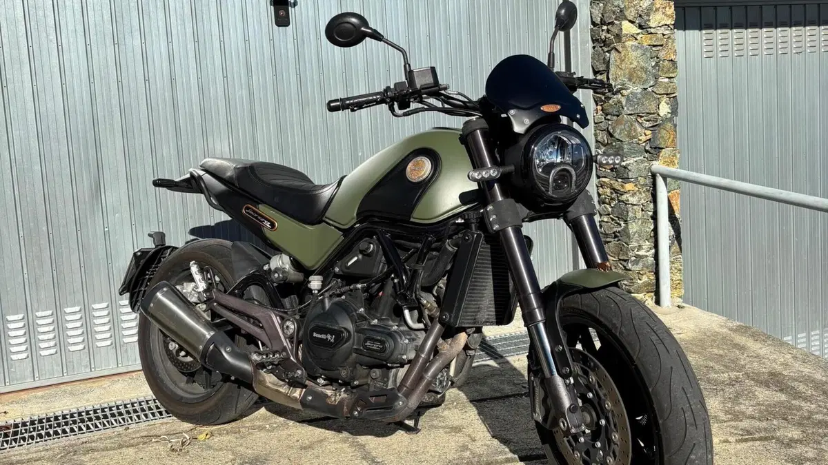 Benelli Leoncino 500 ABS (2017 - 20)  (5)