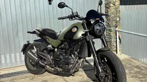 Benelli Leoncino 500 ABS (2017 - 20)  (5)