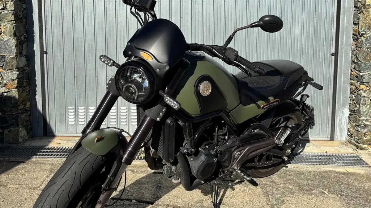 Benelli Leoncino 500 ABS (2017 - 20)  (8)