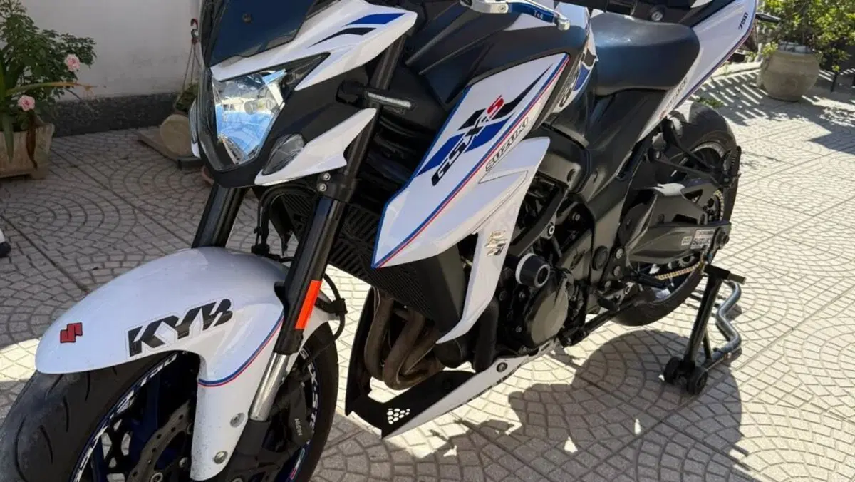 Suzuki GSX S 750 Yugen (2018 - 20)  (2)