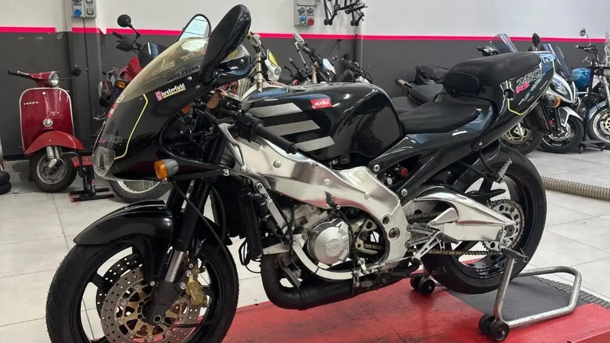Aprilia RS 250 (1995 - 98)  (3)
