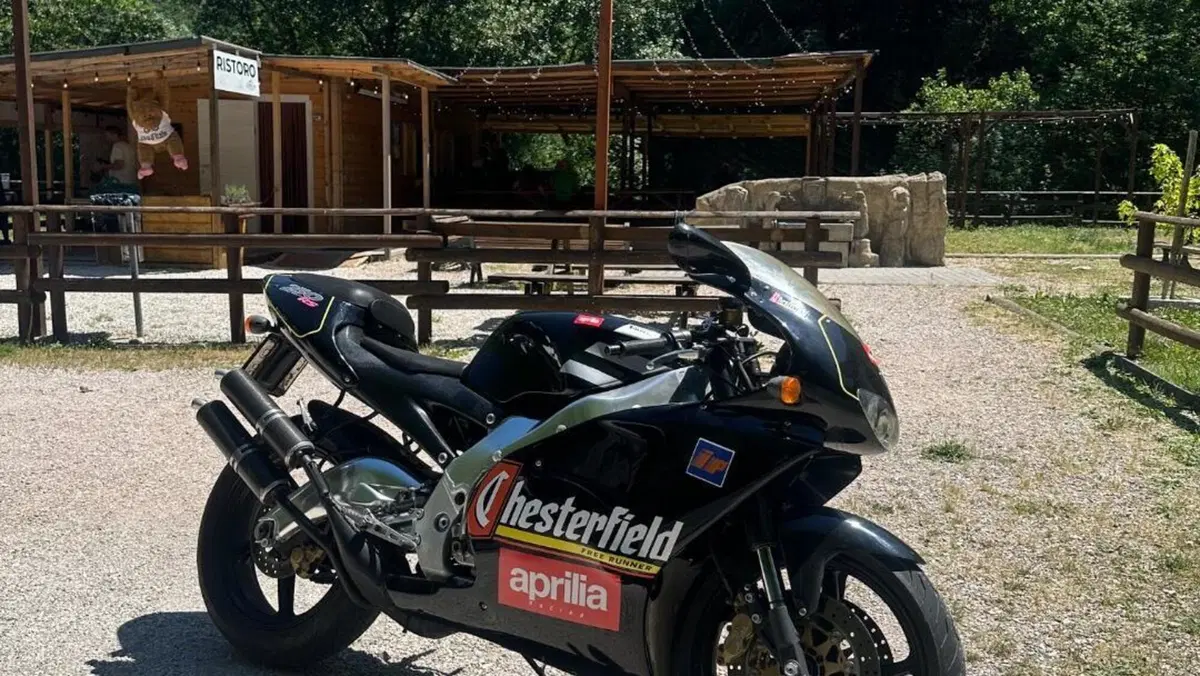 Aprilia RS 250 (1995 - 98)  (4)