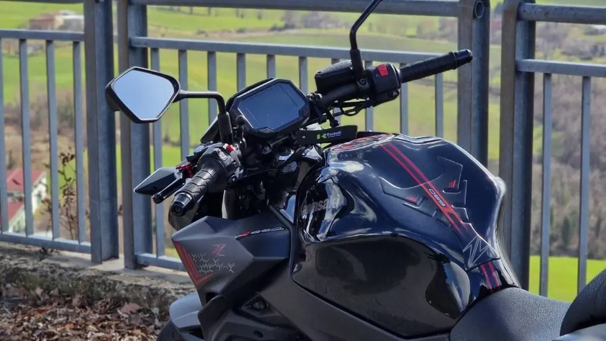 Kawasaki Z 650 (2021 - 24)  (2)
