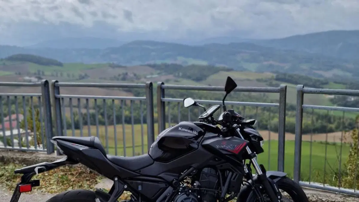 Kawasaki Z 650 (2021 - 24)  (3)