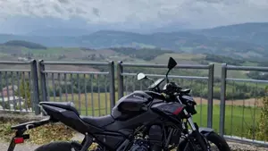 Kawasaki Z 650 (2021 - 24)  (3)