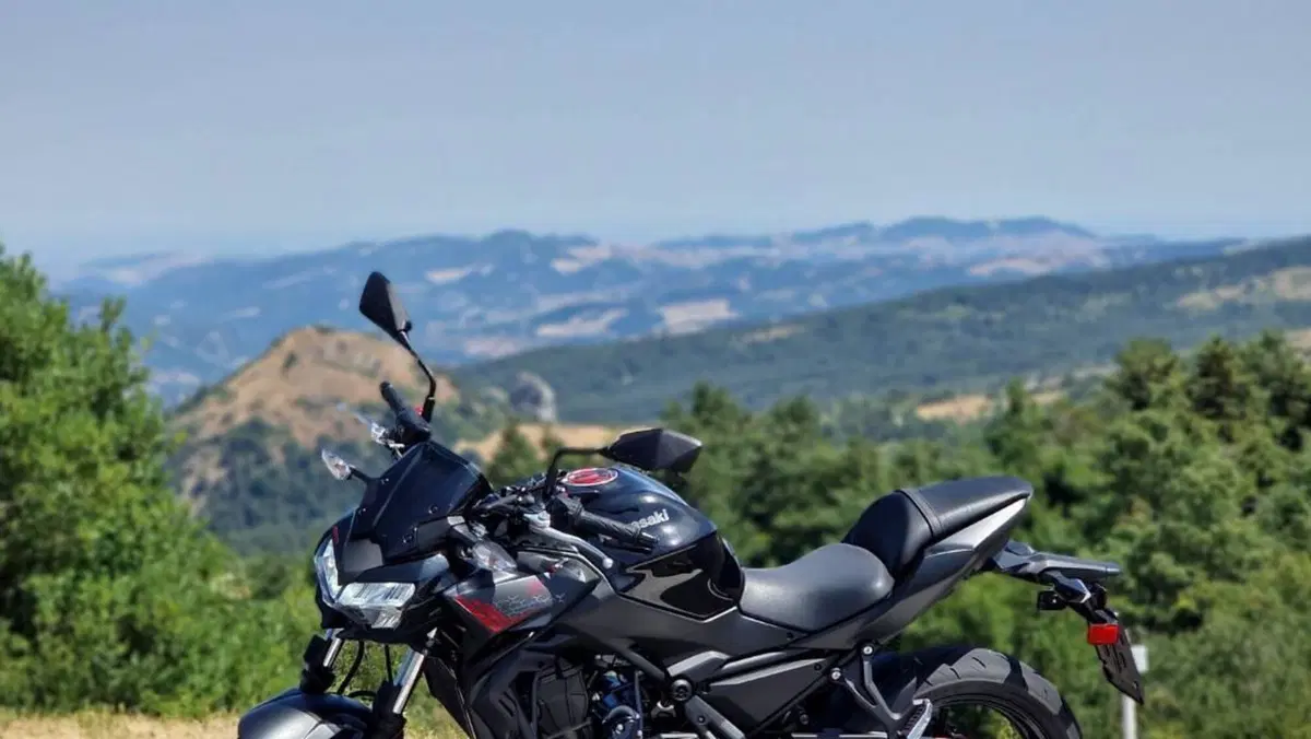 Kawasaki Z 650 (2021 - 24)  (4)