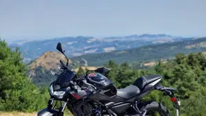 Kawasaki Z 650 (2021 - 24)  (4)