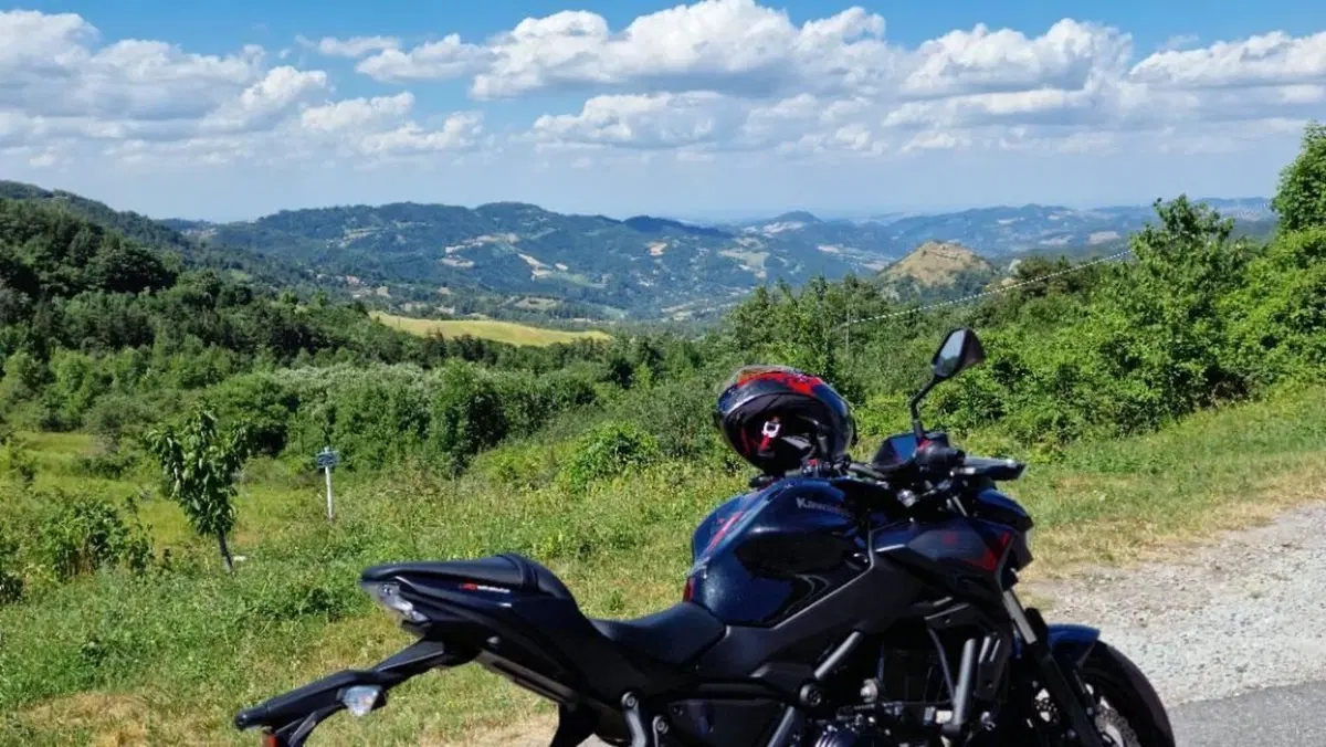 Kawasaki Z 650 (2021 - 24)  (5)