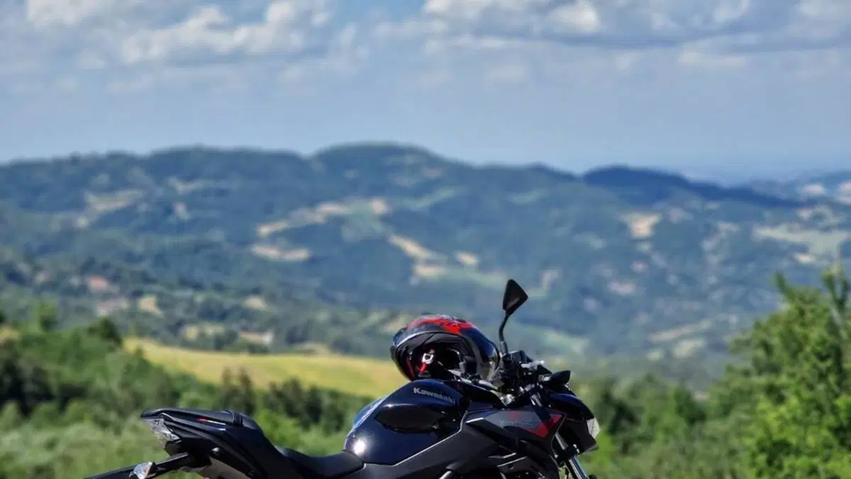 Kawasaki Z 650 (2021 - 24)  (6)