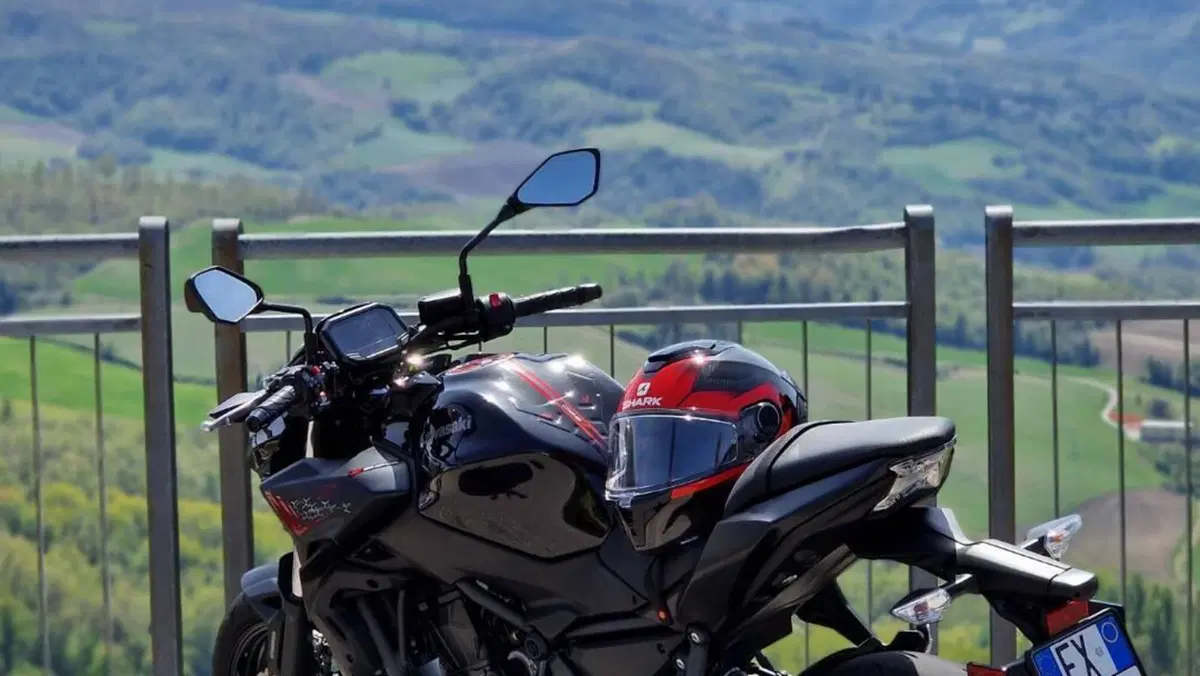 Kawasaki Z 650 (2021 - 24)  (7)