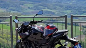 Kawasaki Z 650 (2021 - 24)  (7)