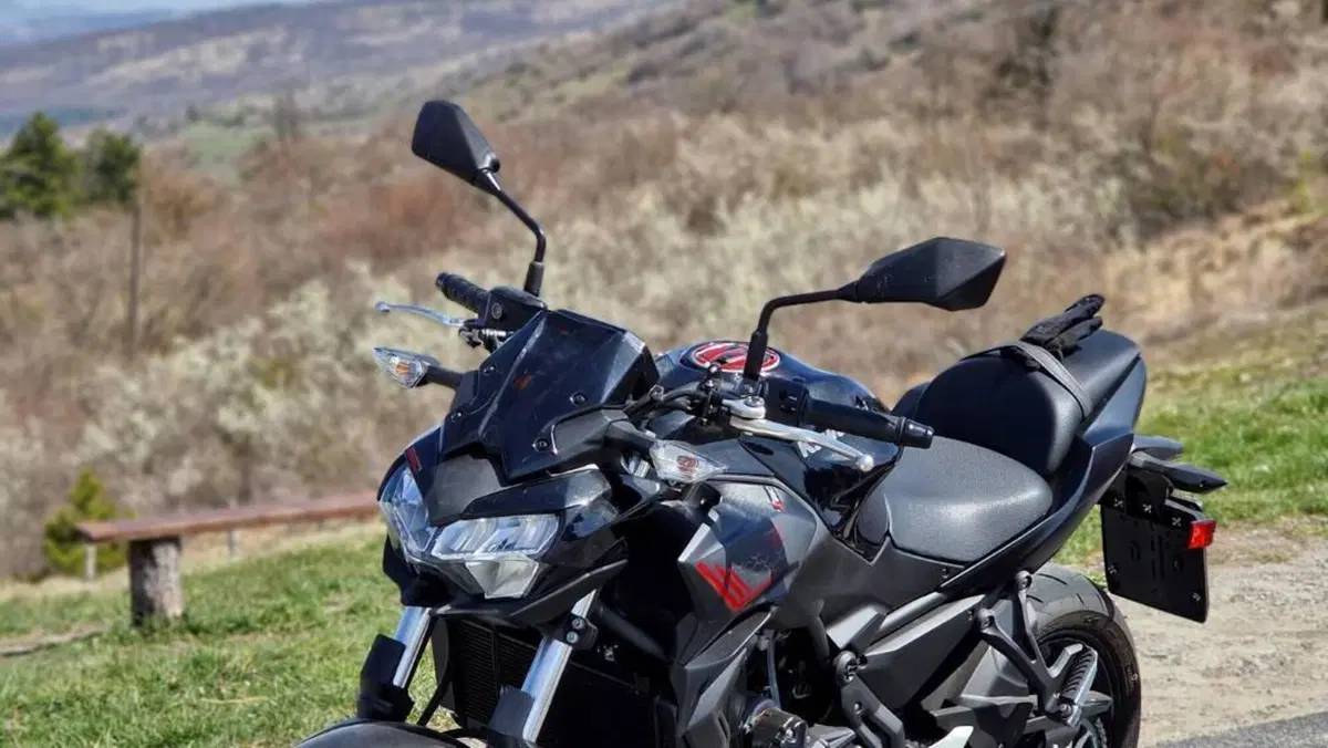 Kawasaki Z 650 (2021 - 24)  (8)