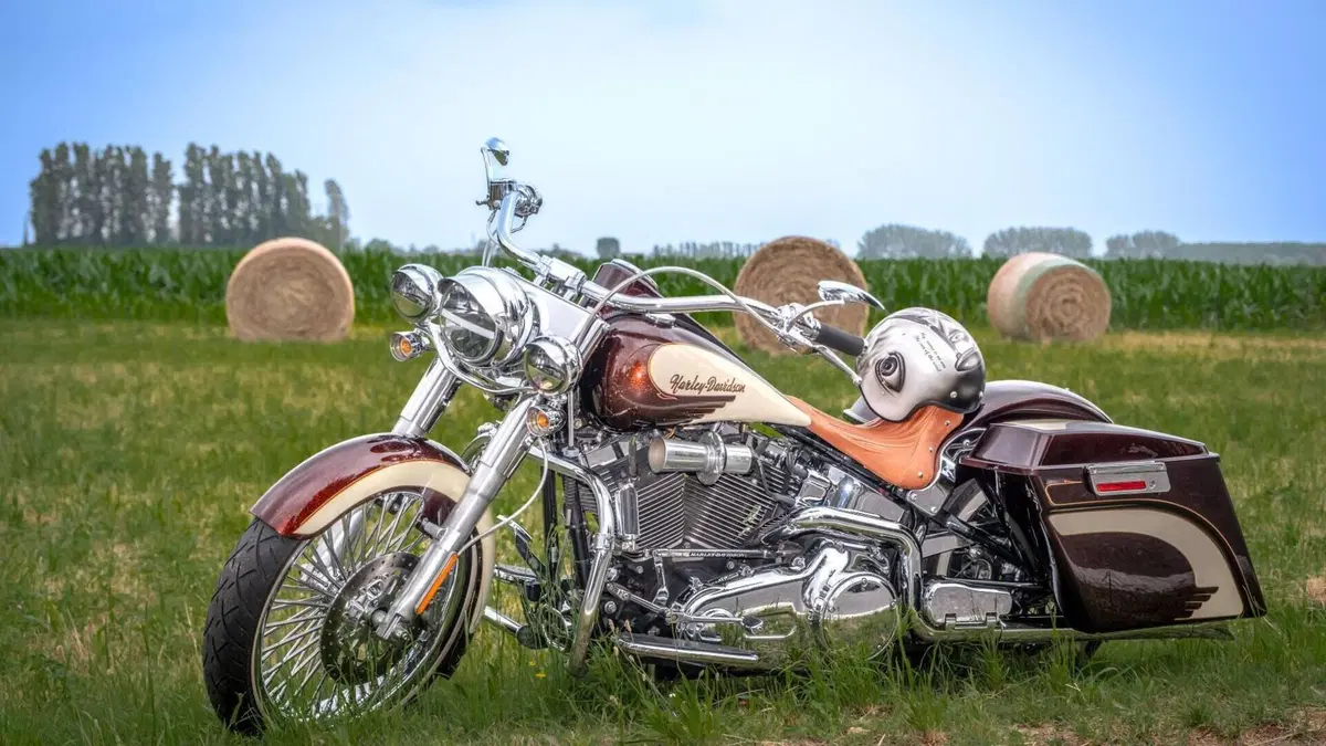 Harley-Davidson 1584 Deluxe (2007 - 08) - FLSTN 