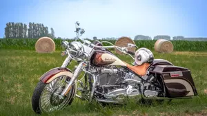 Harley-Davidson 1584 Deluxe (2007 - 08) - FLSTN 