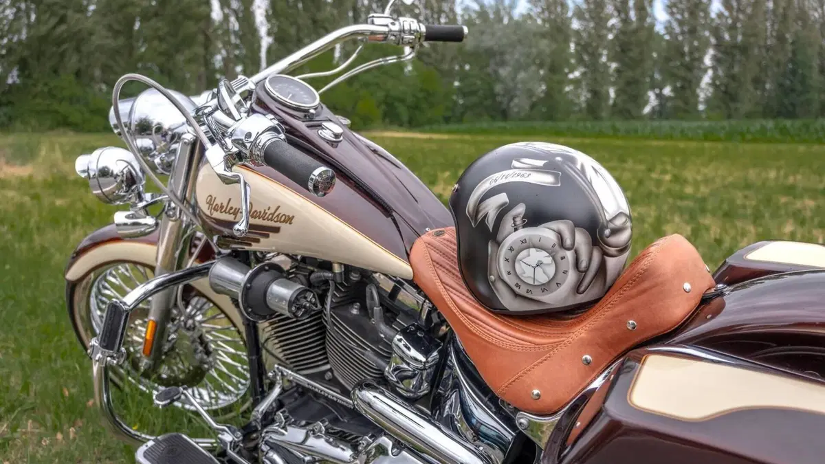 Harley-Davidson 1584 Deluxe (2007 - 08) - FLSTN  (2)
