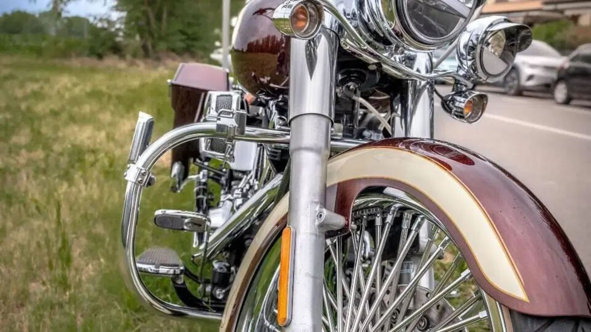 Harley-Davidson 1584 Deluxe (2007 - 08) - FLSTN  (4)