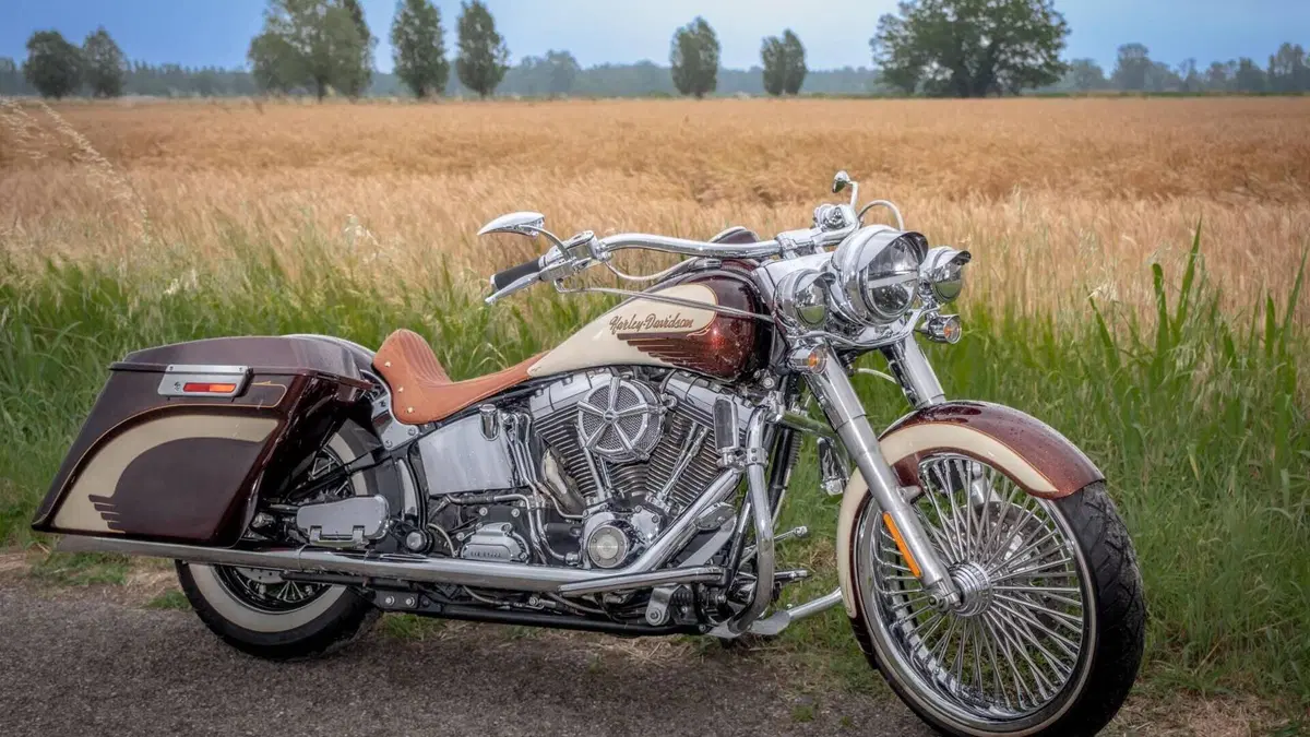 Harley-Davidson 1584 Deluxe (2007 - 08) - FLSTN  (5)