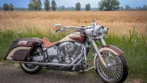 Harley-Davidson 1584 Deluxe (2007 - 08) - FLSTN  (5)