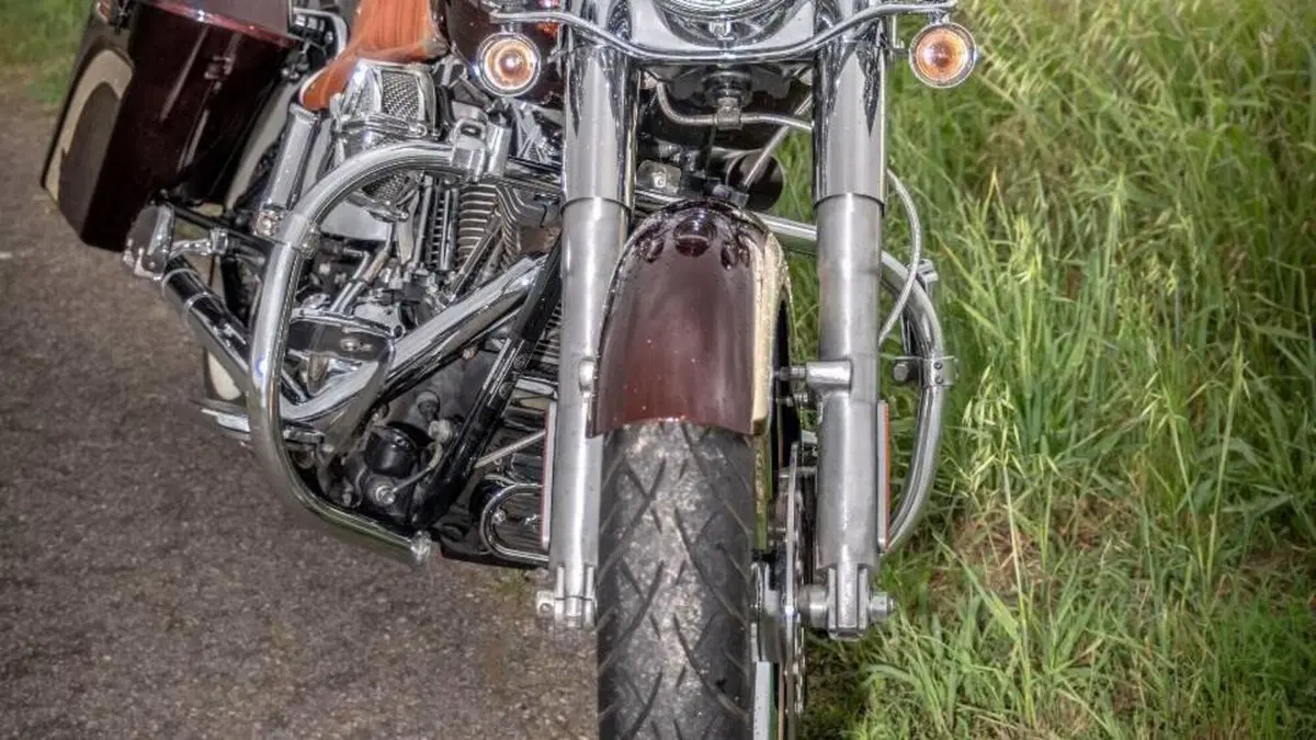 Harley-Davidson 1584 Deluxe (2007 - 08) - FLSTN  (6)