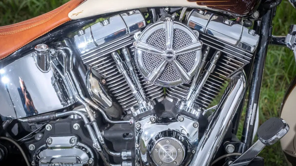 Harley-Davidson 1584 Deluxe (2007 - 08) - FLSTN  (7)