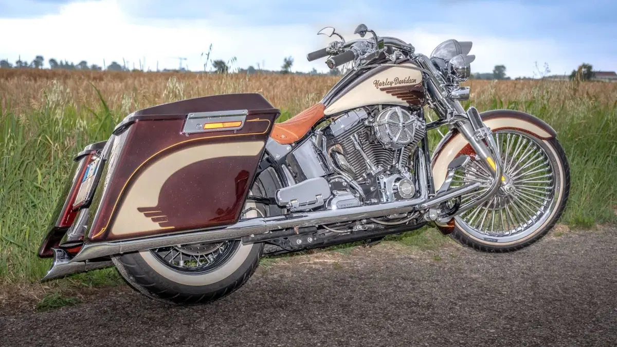 Harley-Davidson 1584 Deluxe (2007 - 08) - FLSTN  (8)