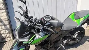 Kawasaki Z 400 (2023)  (5)
