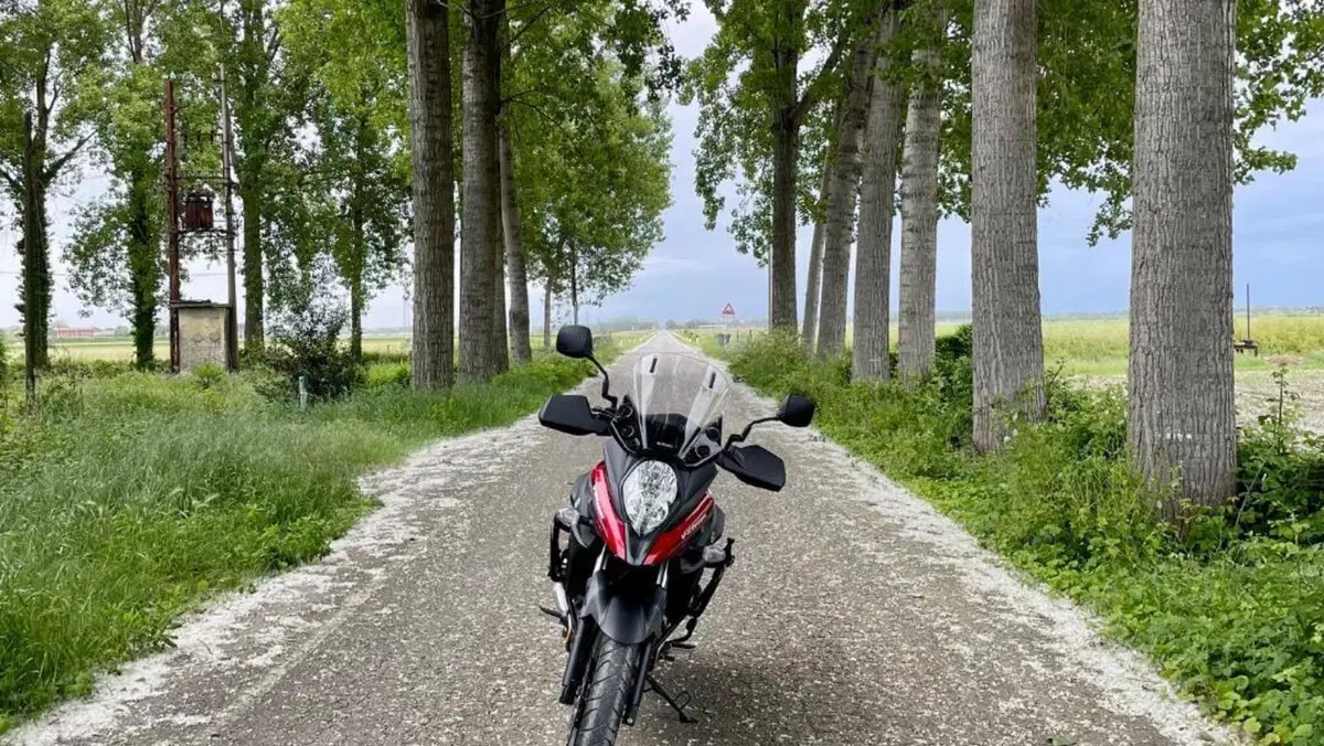 Suzuki V-Strom 650XT (2021 - 25)  (6)