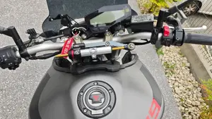Yamaha MT-09 (2013 - 15)  (4)