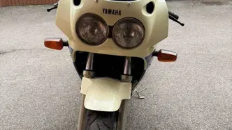 Yamaha FZR 1000 Genesis epoca