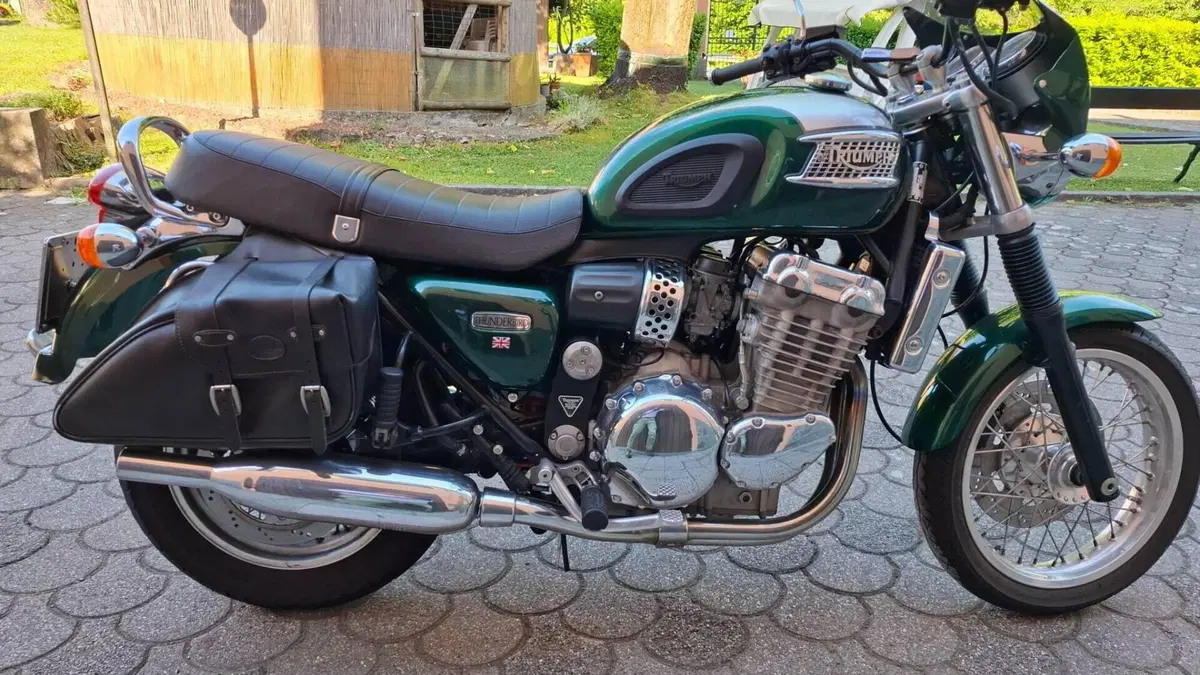 Triumph   (3)