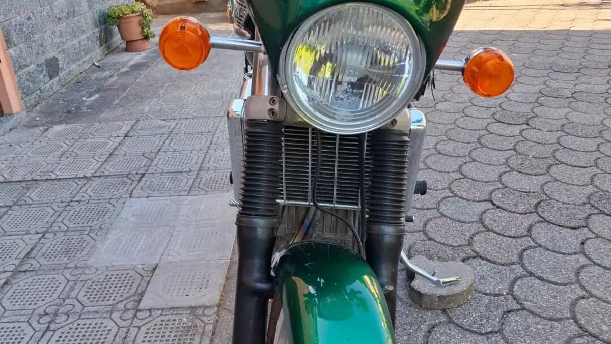 Triumph   (7)
