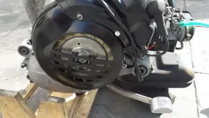 Piaggio   (15)