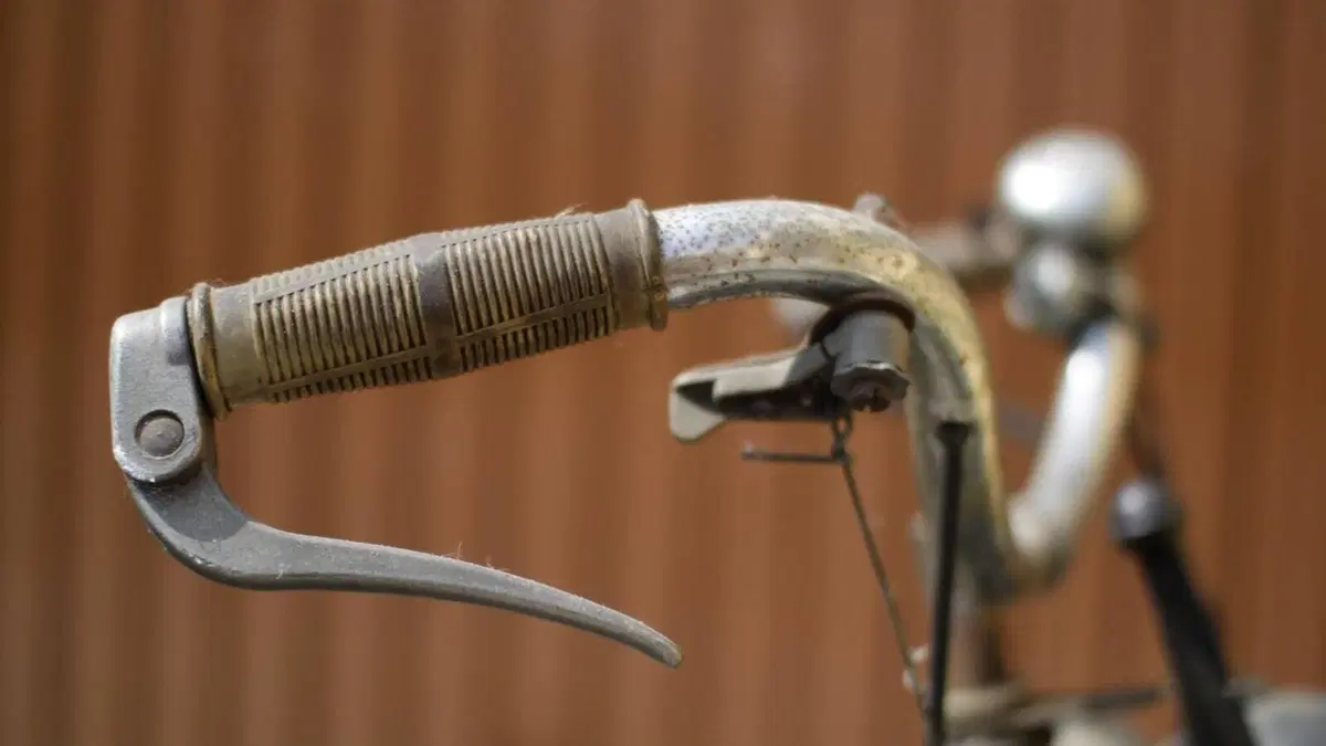 Solex   (7)