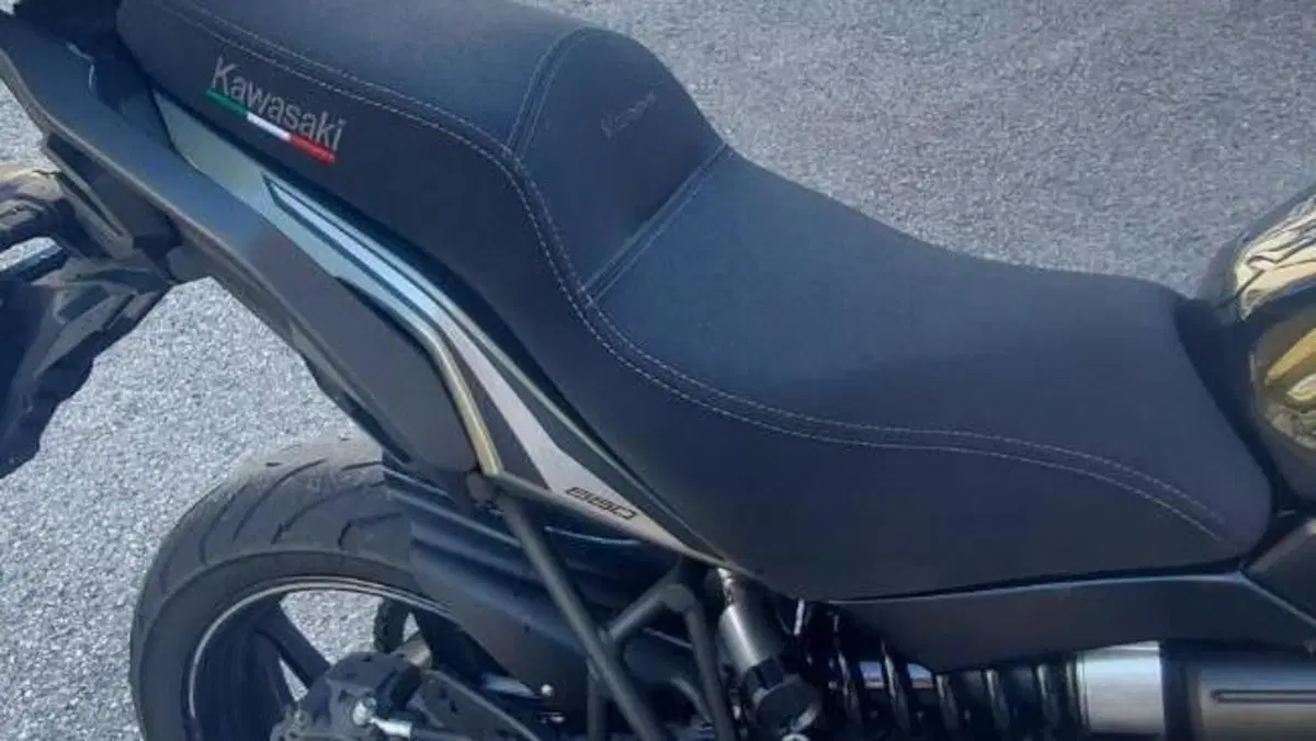 Kawasaki Versys 650 (2021 - 24)  (6)