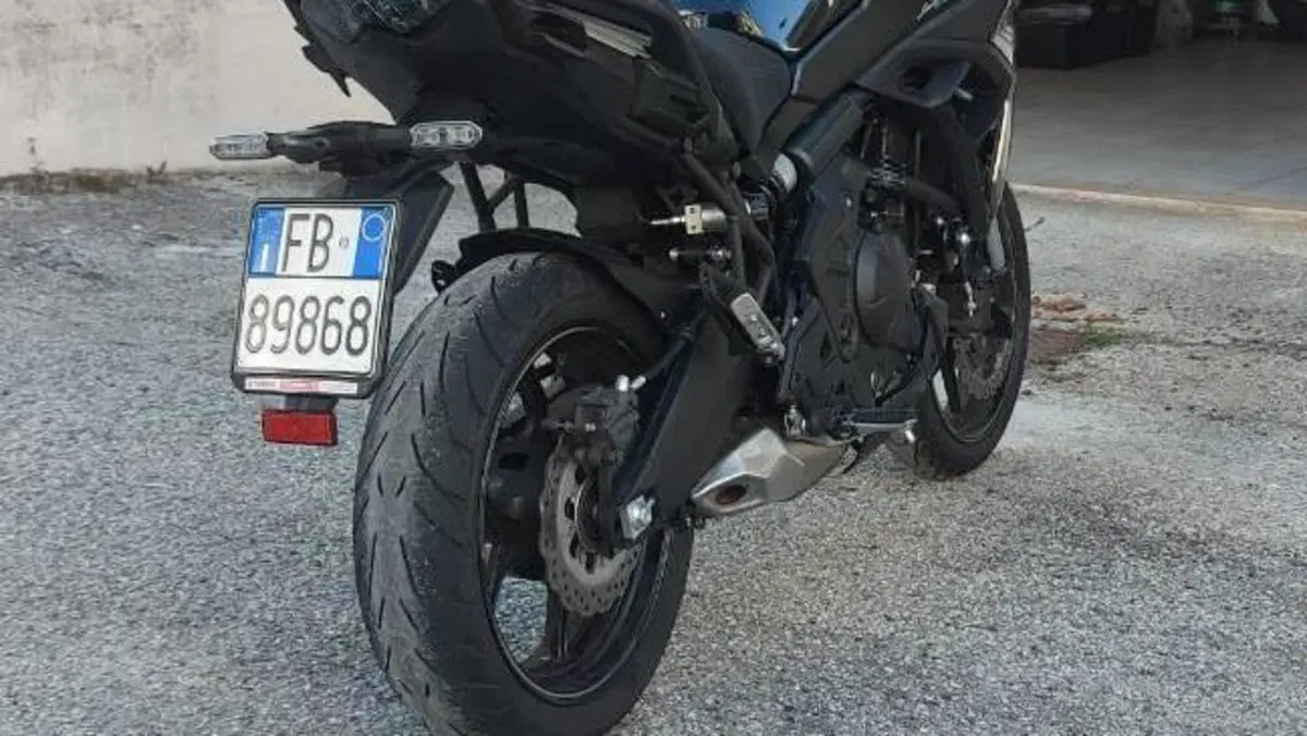 Kawasaki Versys 650 (2021 - 24)  (7)
