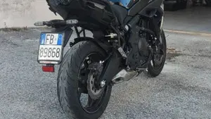 Kawasaki Versys 650 (2021 - 24)  (7)