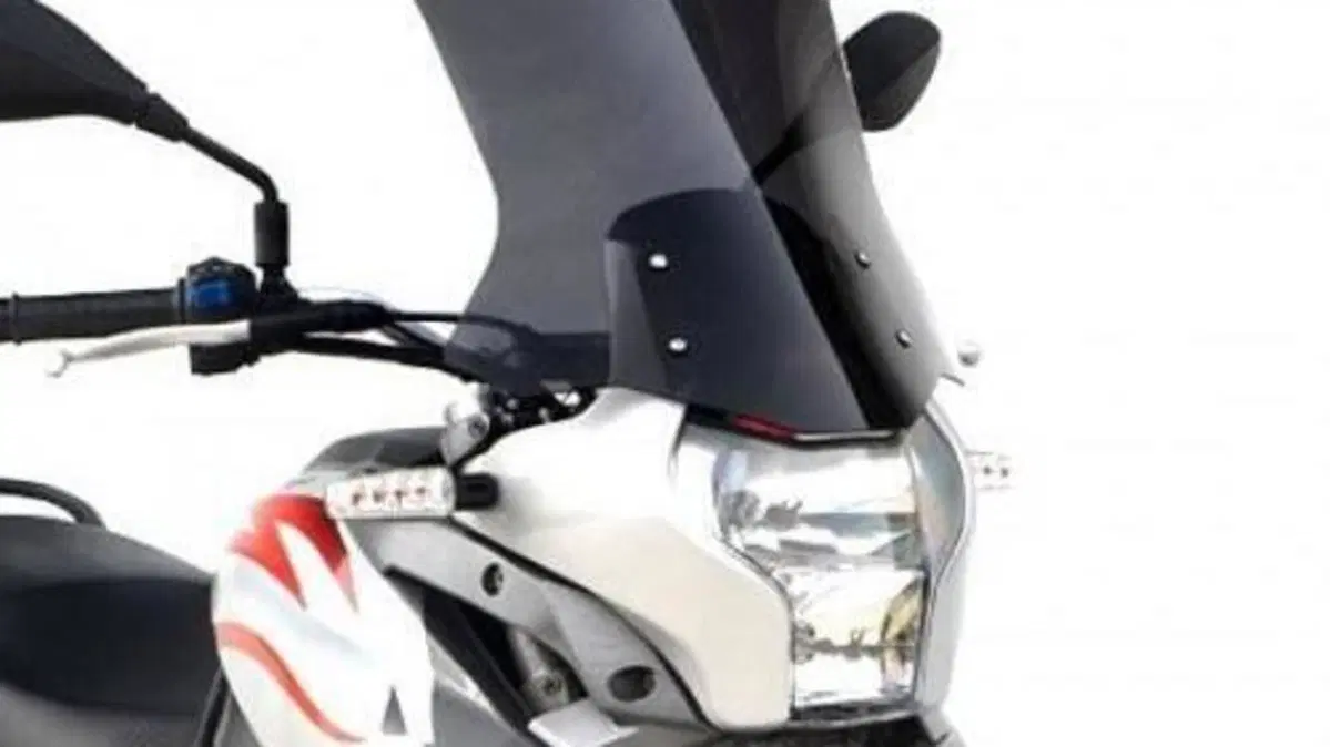 Aprilia Pegaso 650 Trail (2006 - 11)  (4)