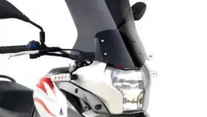 Aprilia Pegaso 650 Trail (2006 - 11)  (4)